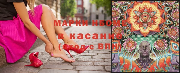 хмурый Зеленокумск