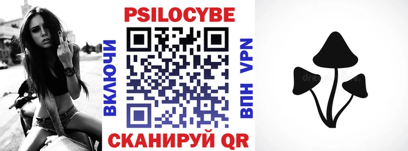 купить наркотик  Истра  Галлюциногенные грибы Psilocybe 