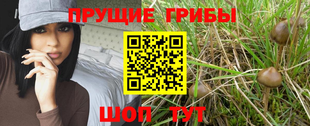 Галлюциногенные грибы MAGIC MUSHROOMS Истра