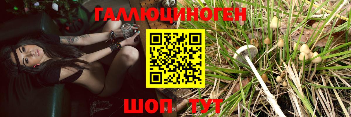 Псилоцибиновые грибы Magic Shrooms  Вход с VPN  Галлюциногенные грибы прущие грибы  Истра 